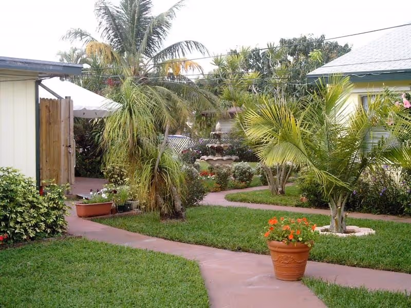 Outdoor garden with a winding pink walkway, potted flowers, and palm trees.