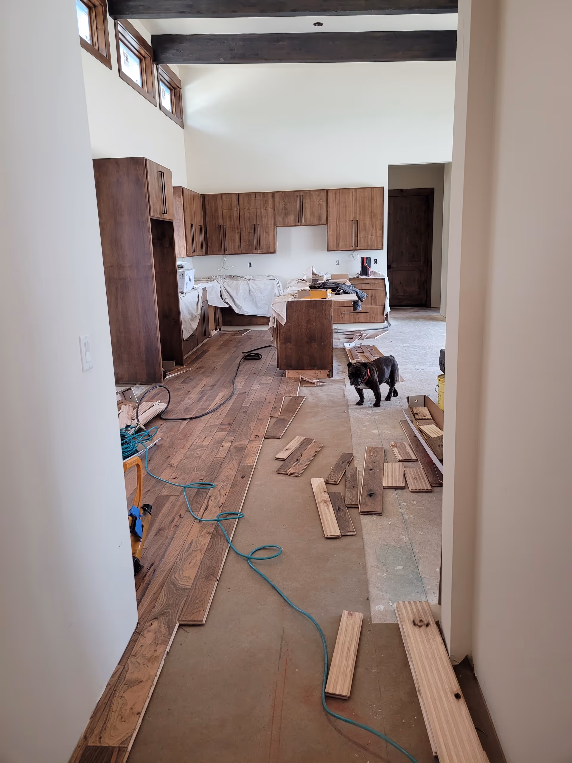 Under-construction kitchen with wooden cabinets, scattered planks, and a dog in the foreground.