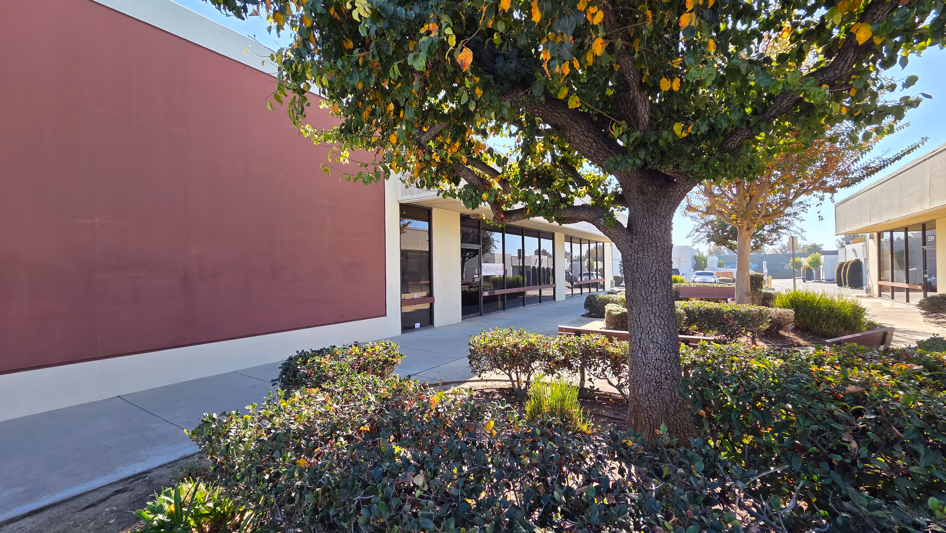 Exterior of Nightingale Senior Care building with storefront windows, a large tree, and landscaped shrubs.