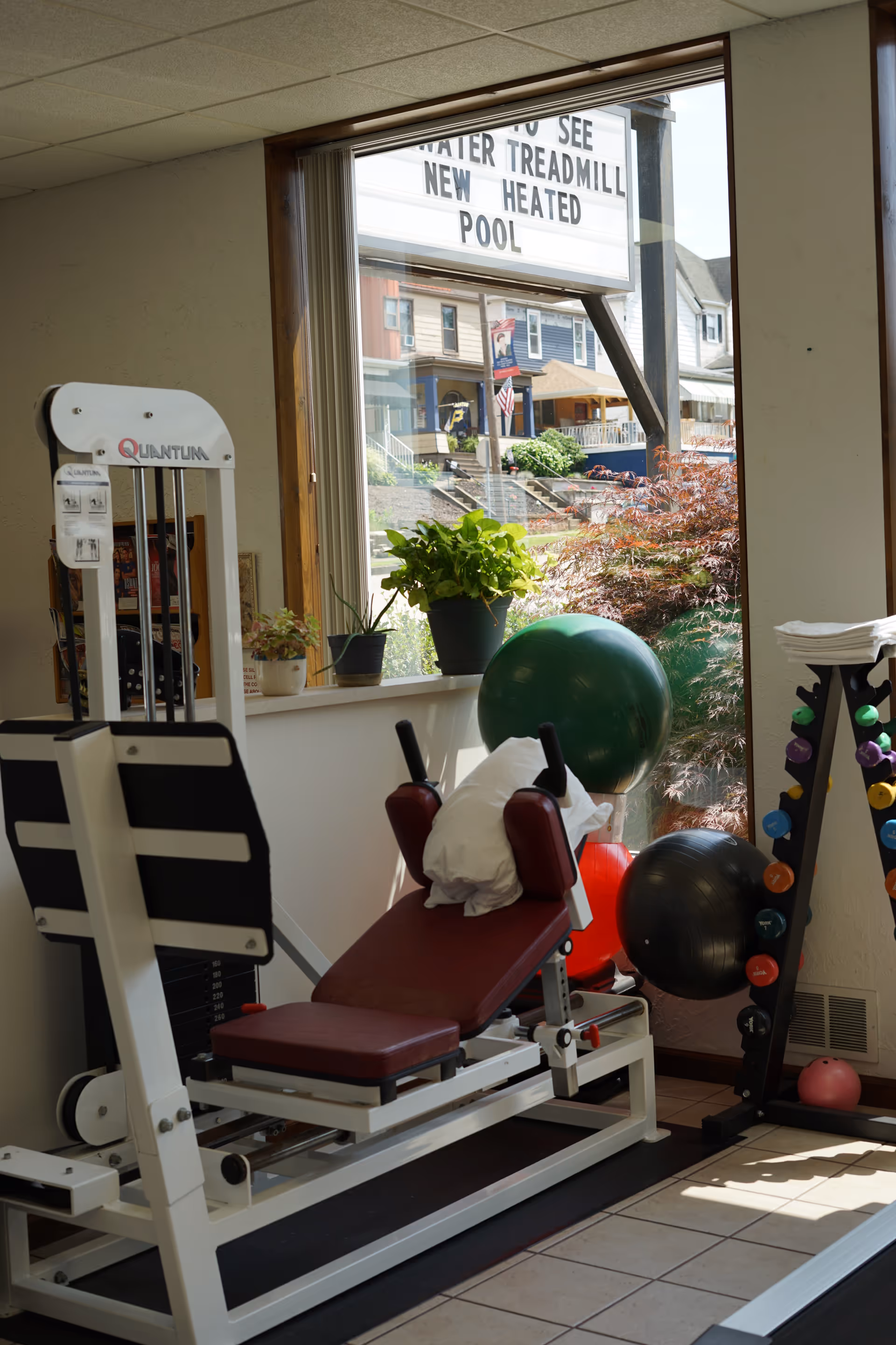 Indoor gym room with weight machine, exercise balls, and dumbbell rack by a window.