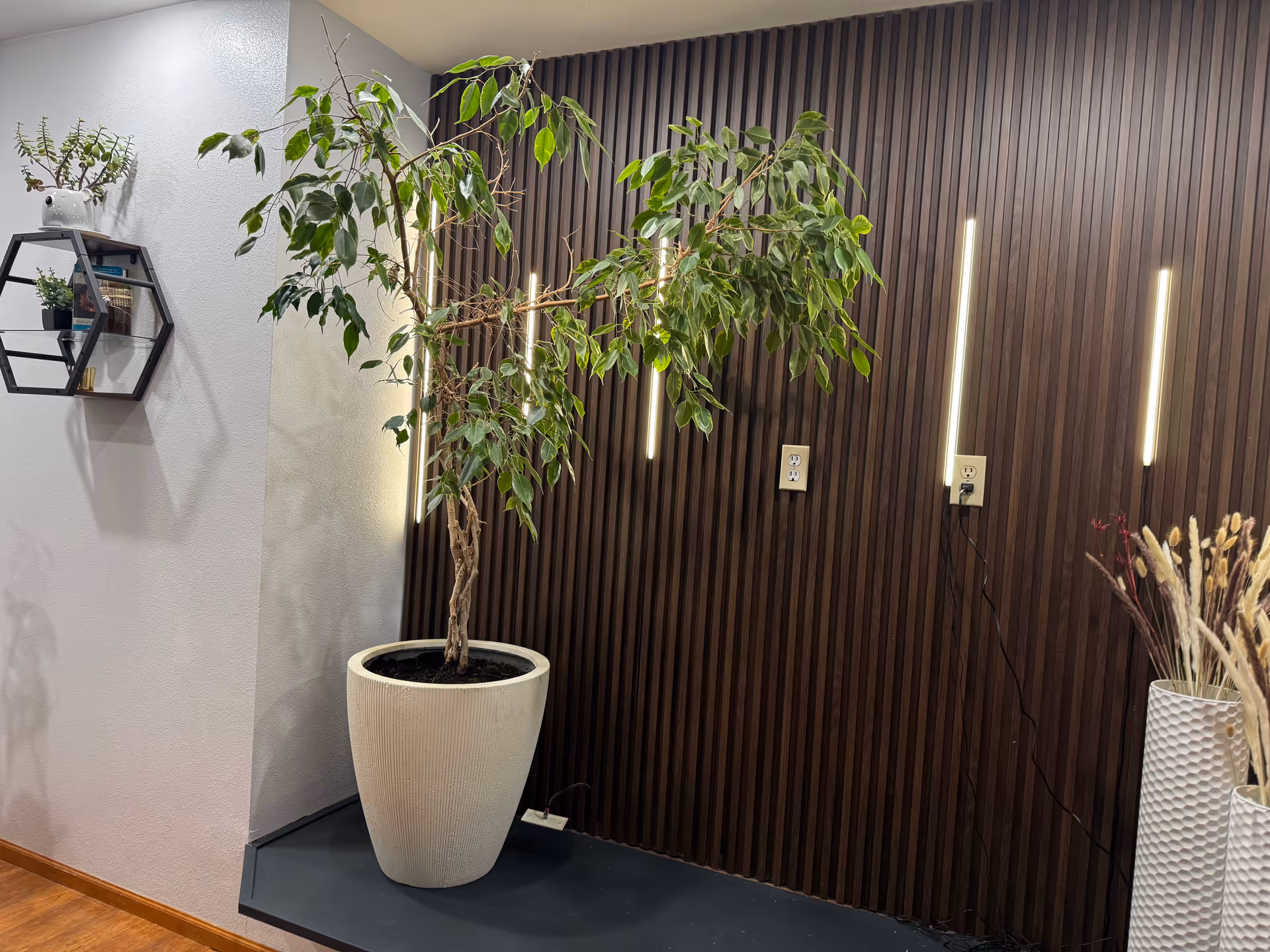 Tall potted indoor tree beside a dark wood-paneled wall with vertical light strips.
