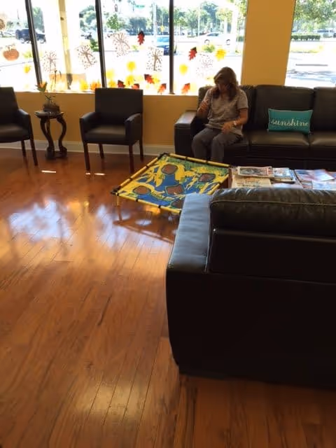 A woman sitting on a dark brown leather couch in a bright room with wooden floors. There are two black chairs and a small table with a plant near large windows decorated with autumn leaf decals. A colorful game board is on the floor in front of the woman, and magazines are spread on the couch armrest. A pillow with the word 'sunshine' is on the couch.