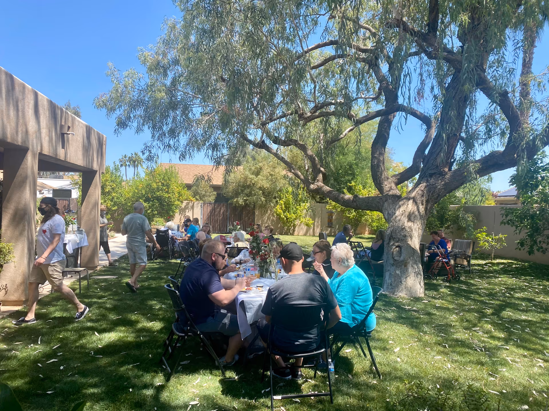 Residents dine at long tables in a shaded grassy courtyard under a large tree.