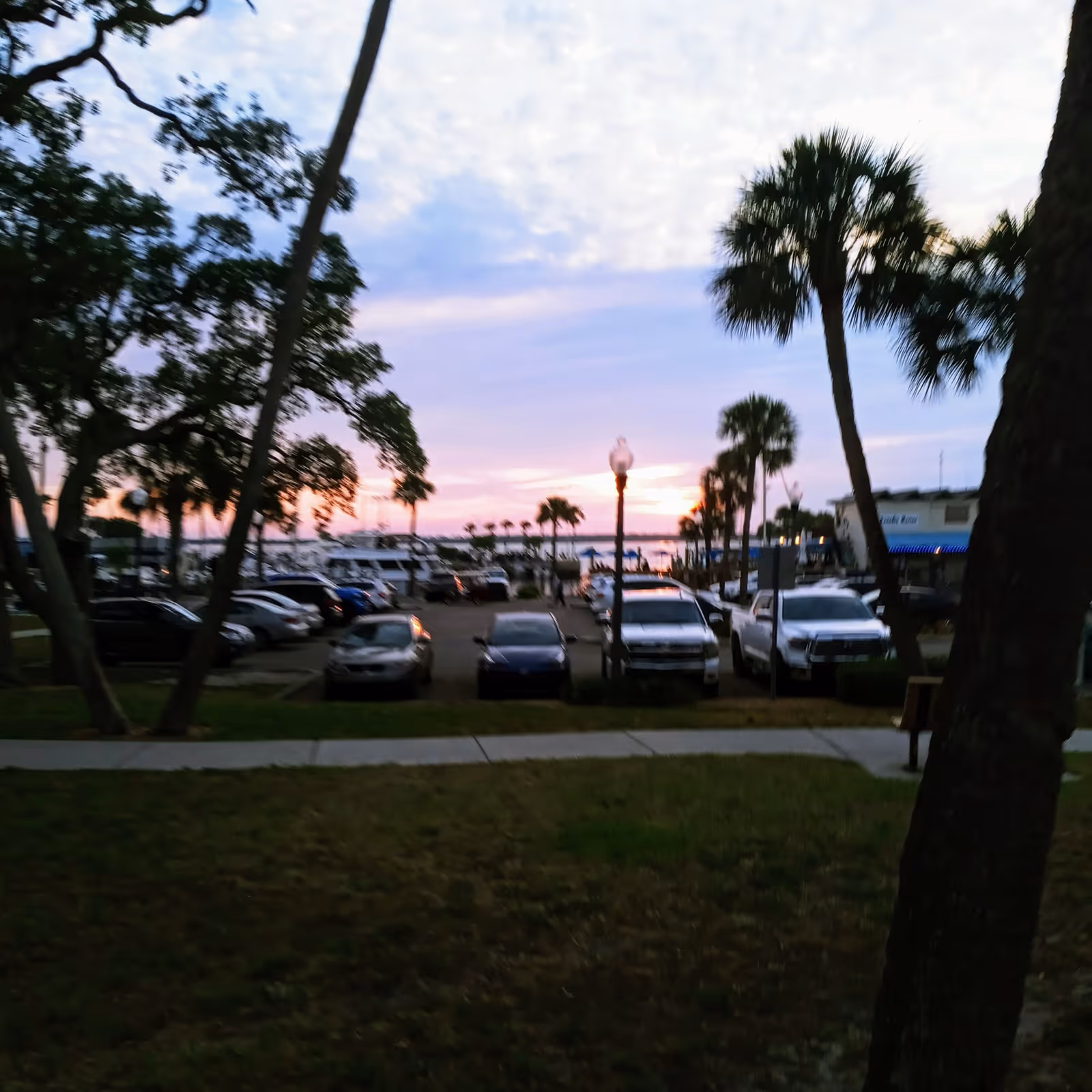 Sunset over a palm-lined parking lot, with boats in the distant marina and parked cars.