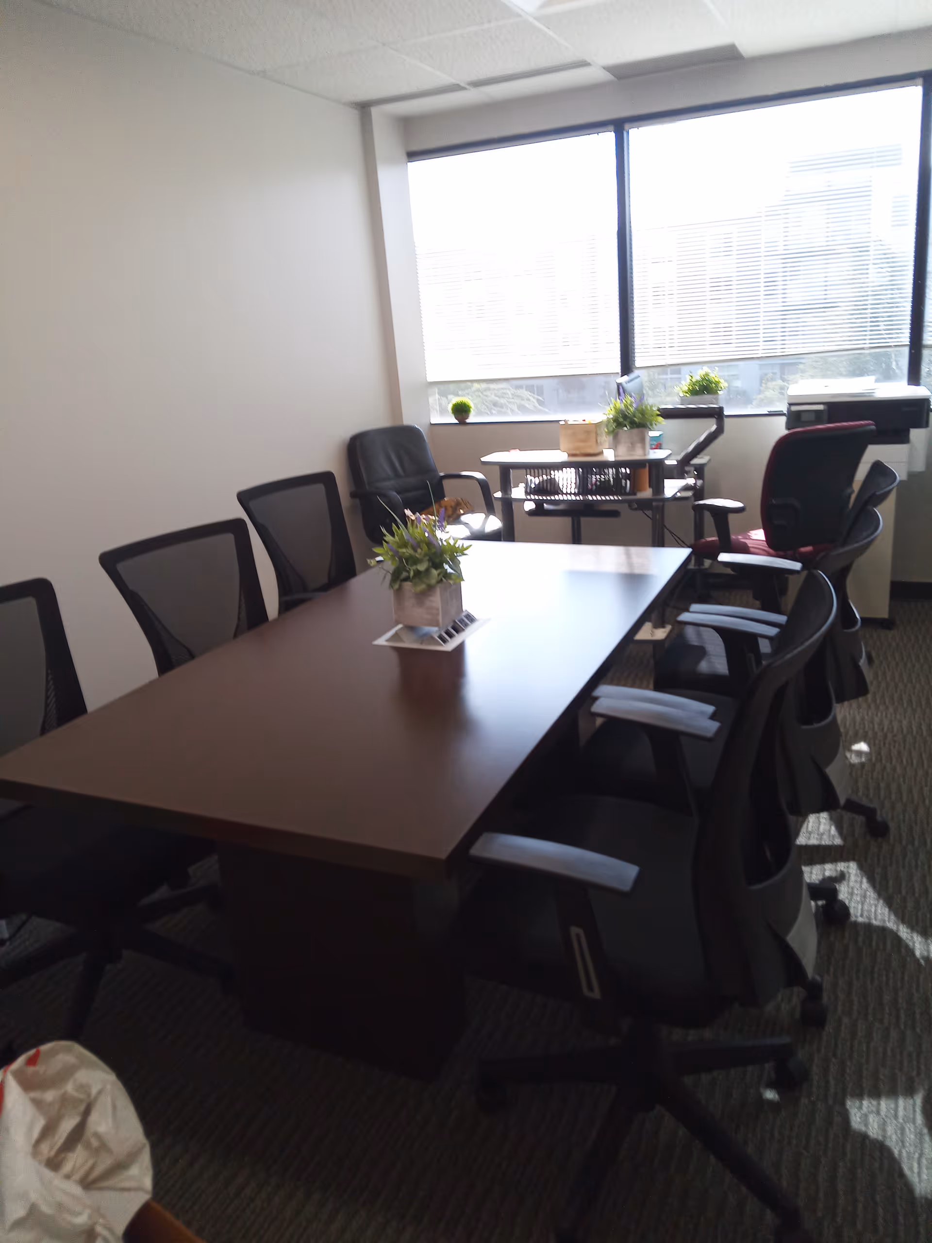 A conference room with a long table, black chairs, and potted plants by a window.