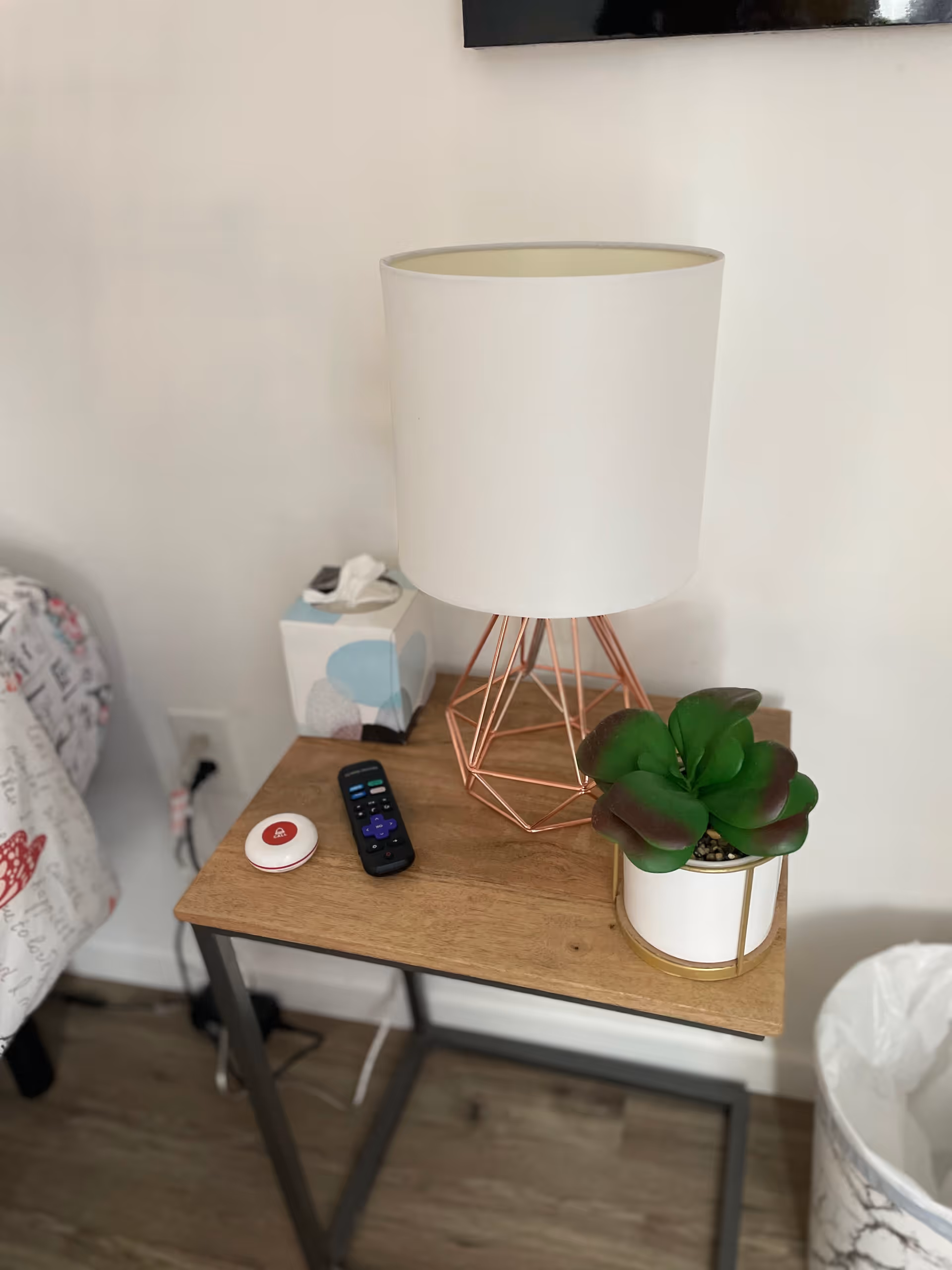 A wooden bedside table with a lamp, tissues, remote, plant, and trash can beside bed.