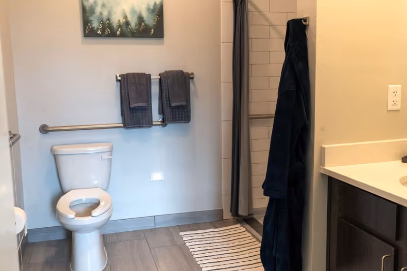 A clean bathroom featuring a white toilet with a safety grab bar and two dark gray towels hanging above it. To the right, there is a walk-in shower with a dark curtain and a dark blue robe hanging on a hook. The floor is tiled in gray, and a striped rug is placed in front of the shower. A countertop with a sink and dark cabinetry is partially visible on the right side of the image. A painting of a forest scene hangs on the wall above the towels.