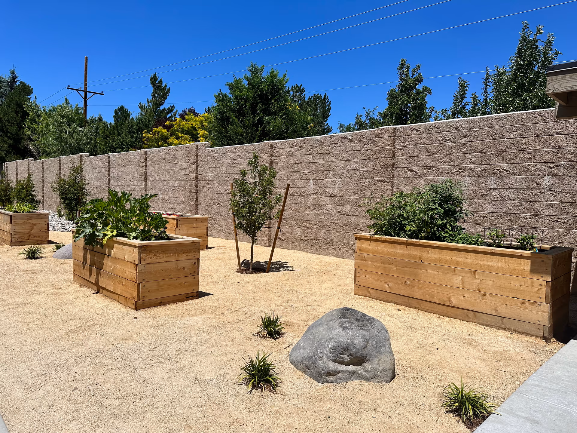Sunny outdoor courtyard with wooden raised garden beds against a tall concrete block wall