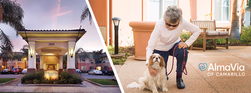 Split image showing the front entrance of the AlmaVia of Camarillo on the left and an older woman petting a small dog in an outdoor courtyard on the right.