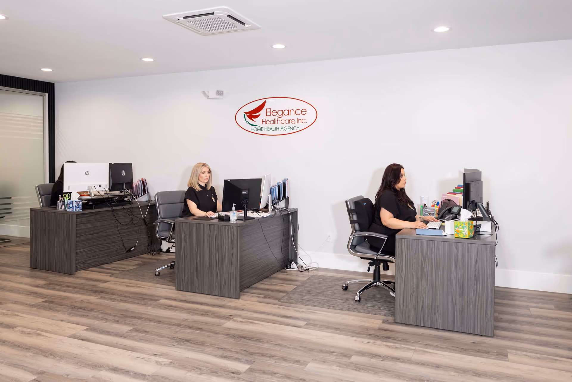 Two staff sit at desks with computers in a bright interior featuring Elegance Health Care signage.