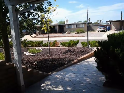 View of a landscaped outdoor area with a small tree and bushes, a tiled walkway, and a street with single-story buildings and parked cars under a clear blue sky.