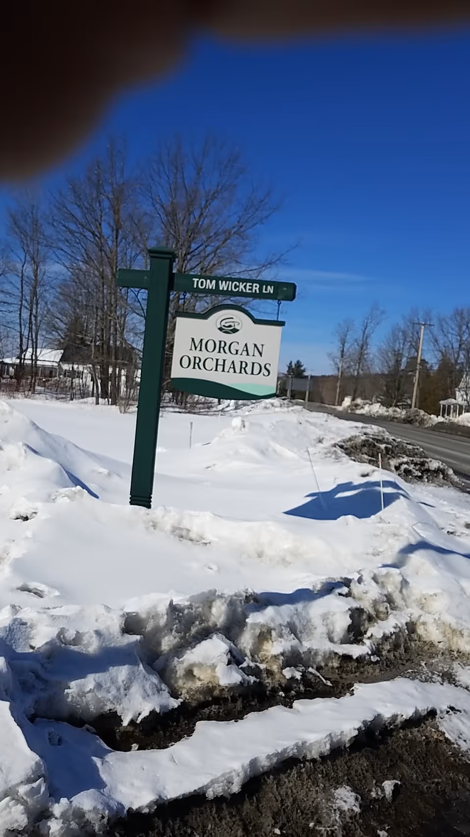 Snowy roadside scene with Morgan Orchards sign and bare trees.
