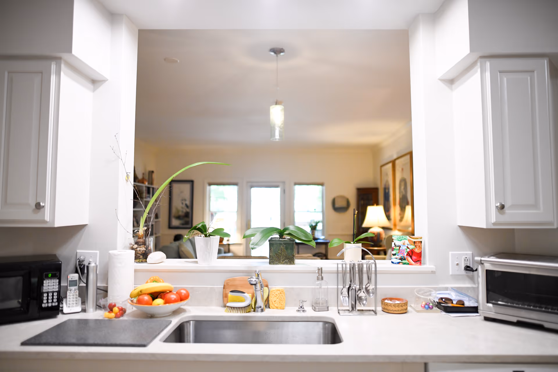 Kitchen sink and countertop with fruit bowl, potted plants, and small appliances visible through a pass-through into a living area.