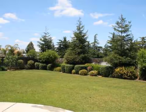 Outdoor lawn with trimmed hedges, shrubs, and tall evergreen trees under a blue sky.
