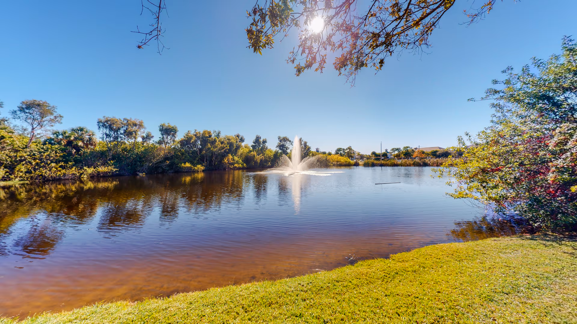 A tranquil lake with a central fountain surrounded by trees and grass.