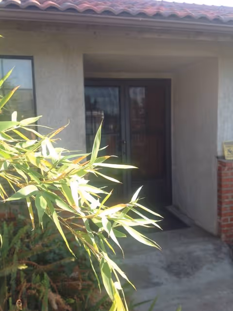 Front entrance of a beige stucco building with a glass door and surrounding plants.
