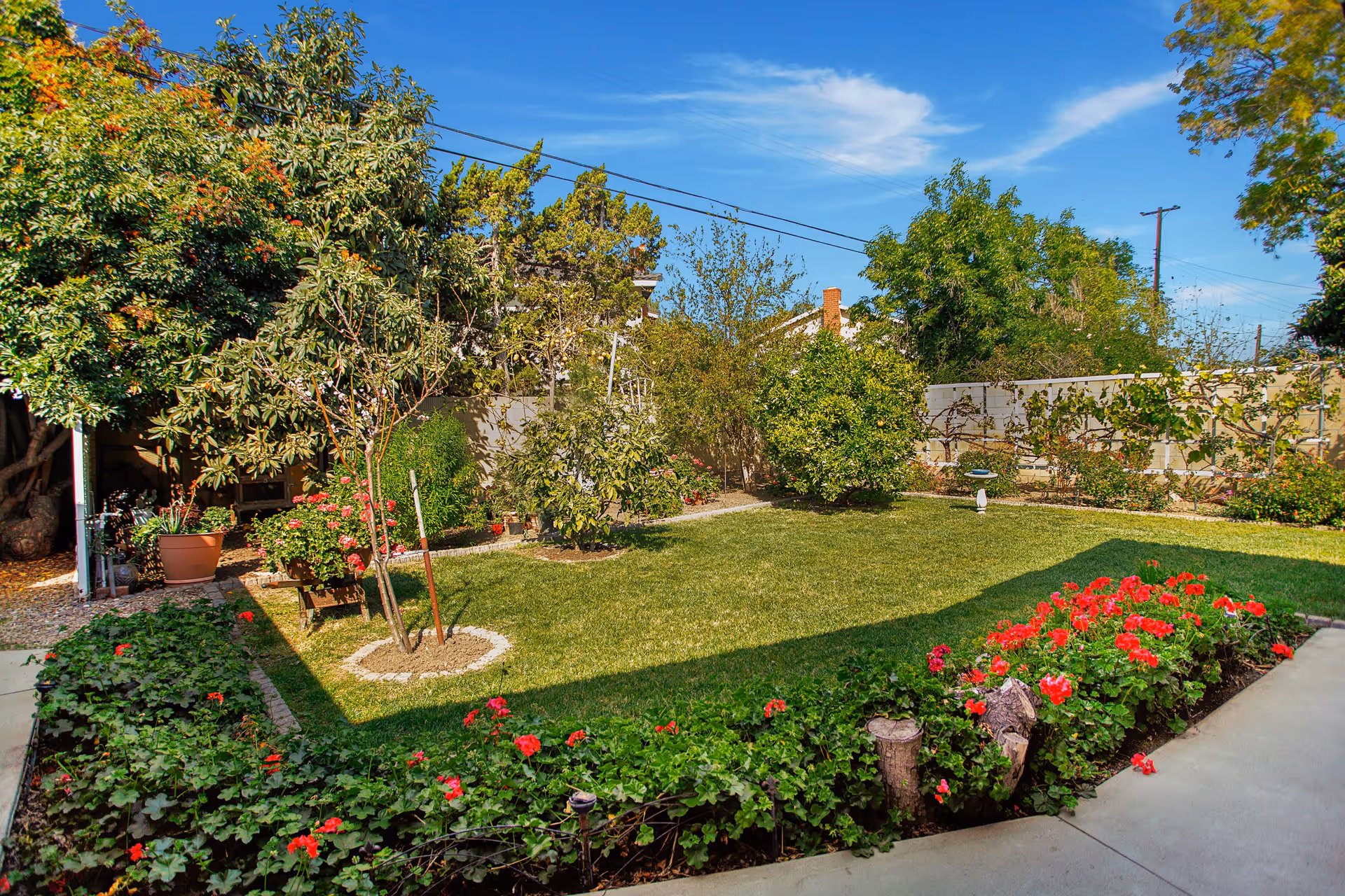 Well-maintained fenced backyard with a lawn, flower beds, small trees, potted plants, and a clear blue sky.