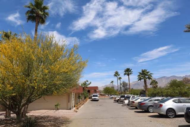 Parking lot with lined cars and palm trees beside a low single-story building under a blue sky.