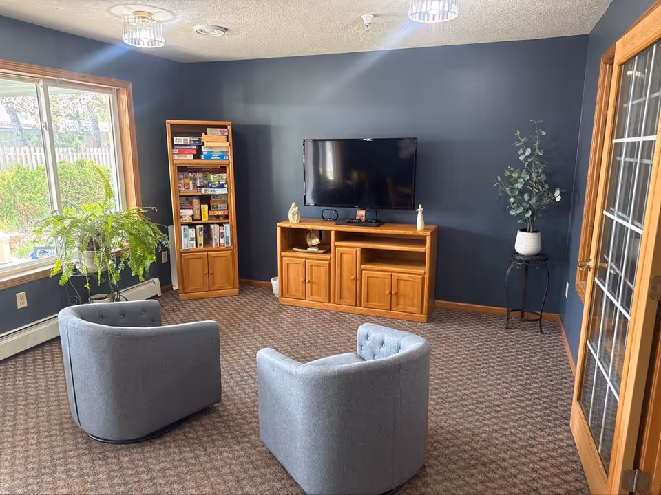 Cozy lounge with blue walls, TV stand, bookcase, plants, and two gray armchairs.