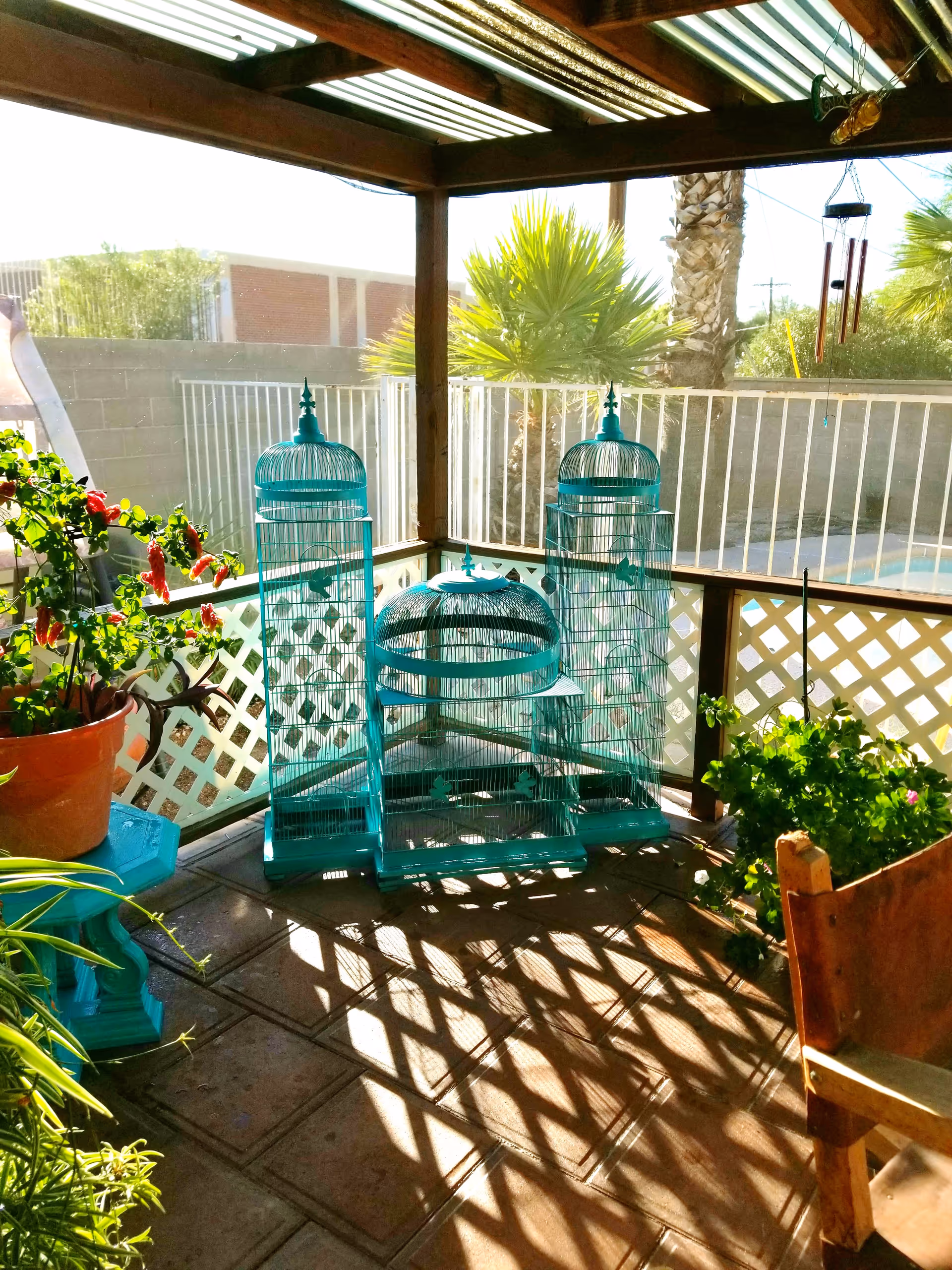Covered sunlit patio with three turquoise birdcages, potted plants, and a lattice railing.