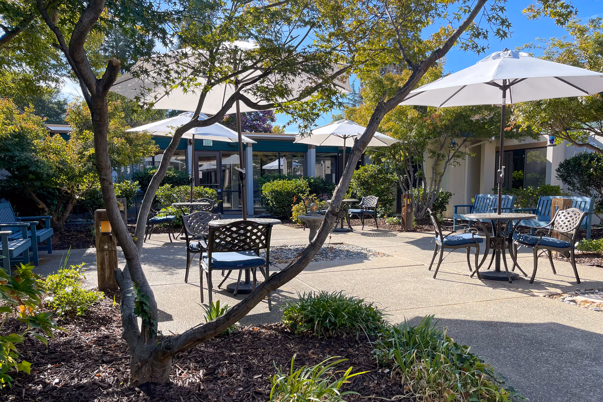 Sunlit outdoor courtyard with patio tables, umbrellas, chairs, and landscaping at a senior living facility.