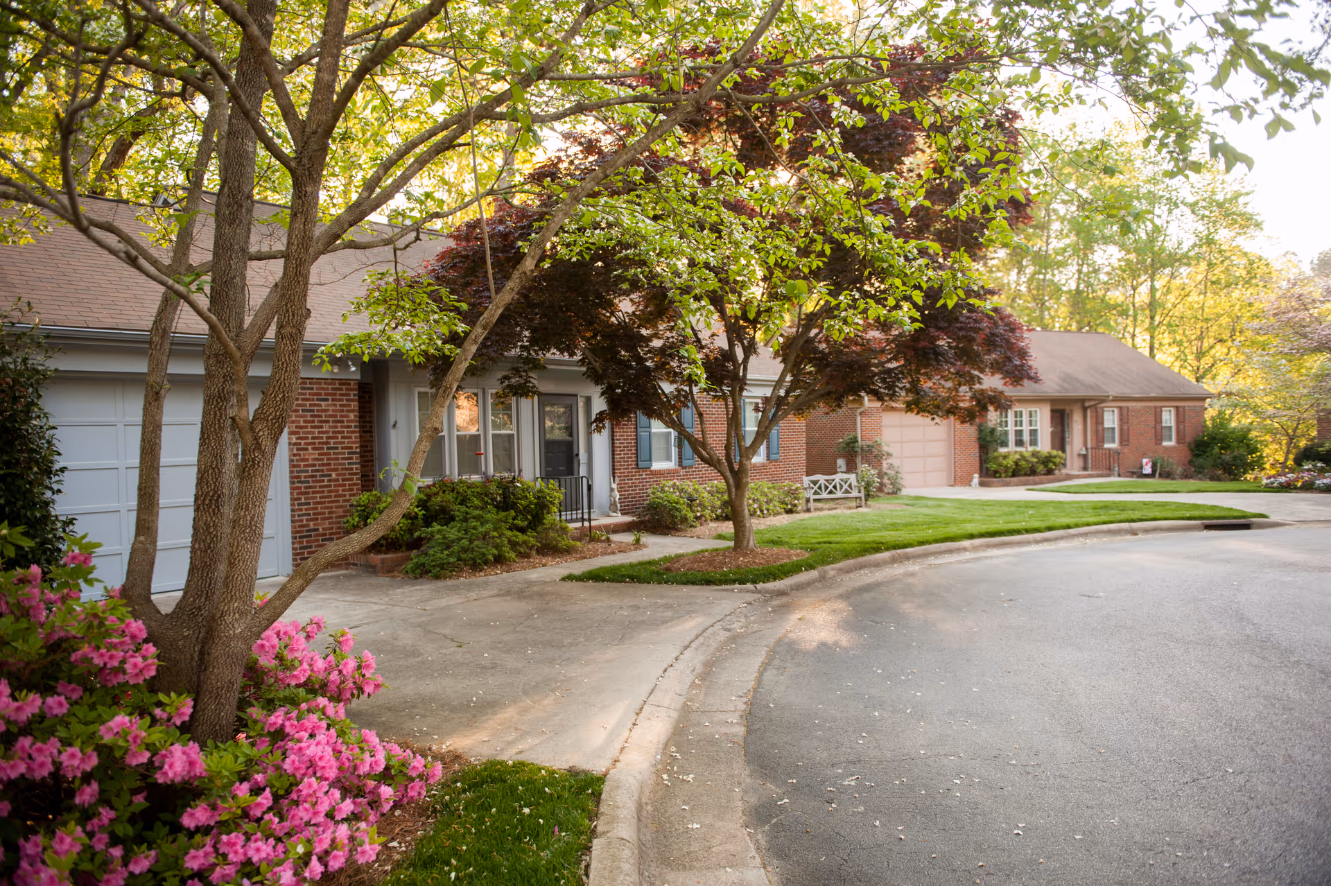 Front view of single-story brick retirement community homes along a tree-lined cul-de-sac with flowering shrubs.