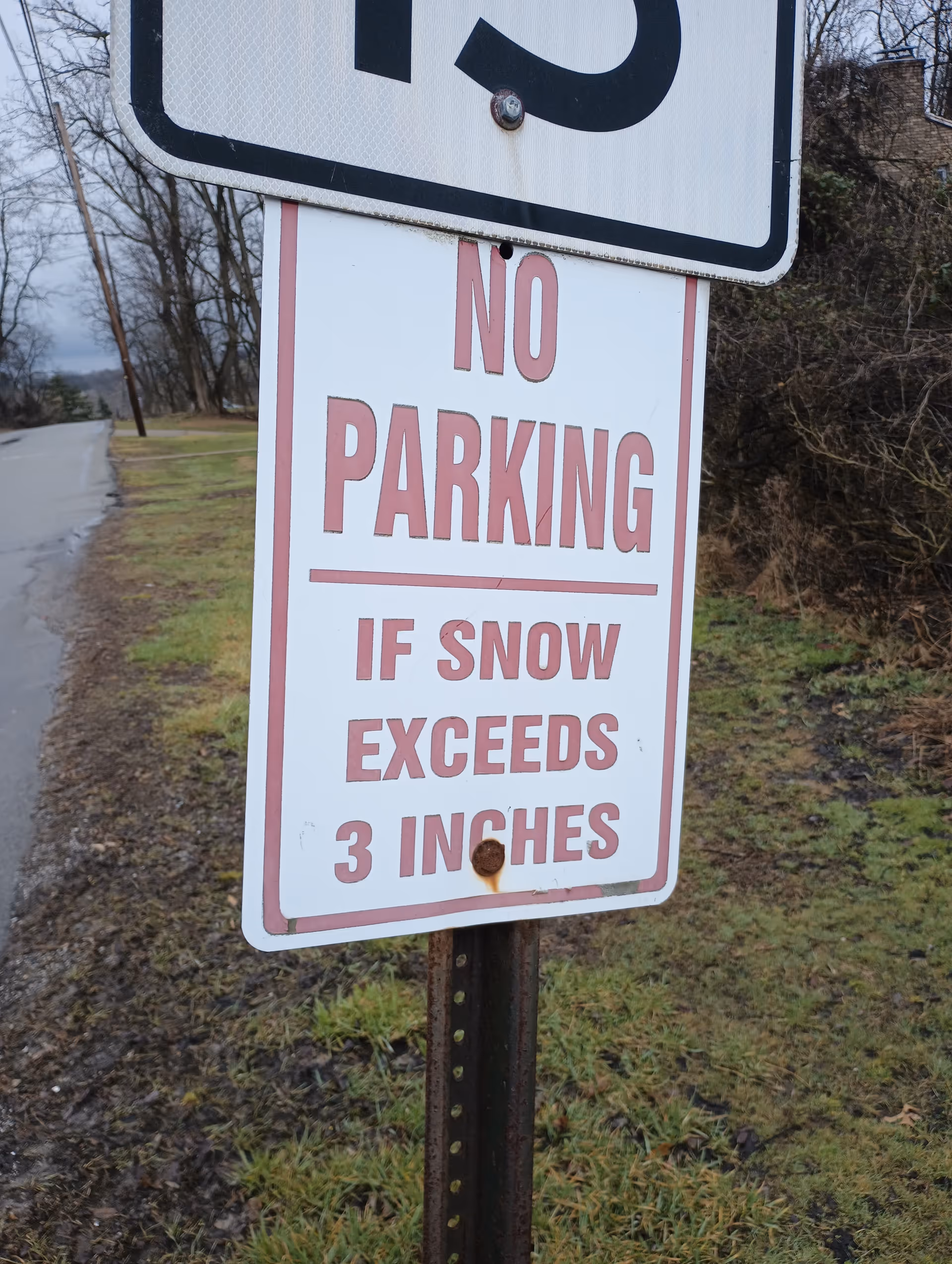 Roadside no-parking sign with grass and bare trees in the background.