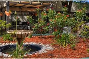 Outdoor courtyard with a circular fountain, red mulch, and surrounding greenery.