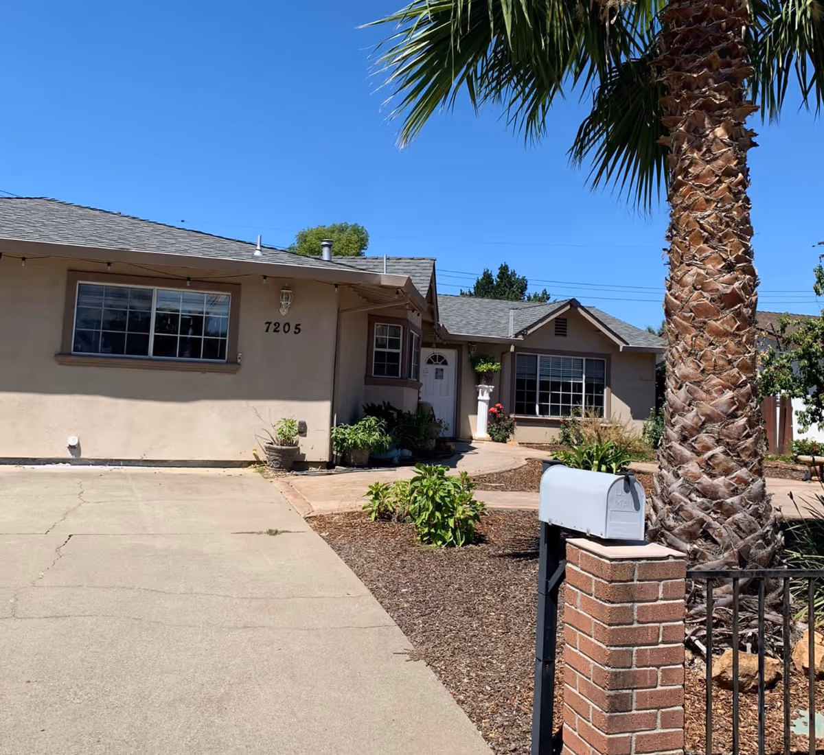 Single-story beige house with the number 7205, a driveway, mailbox, and a large palm tree in the front yard.