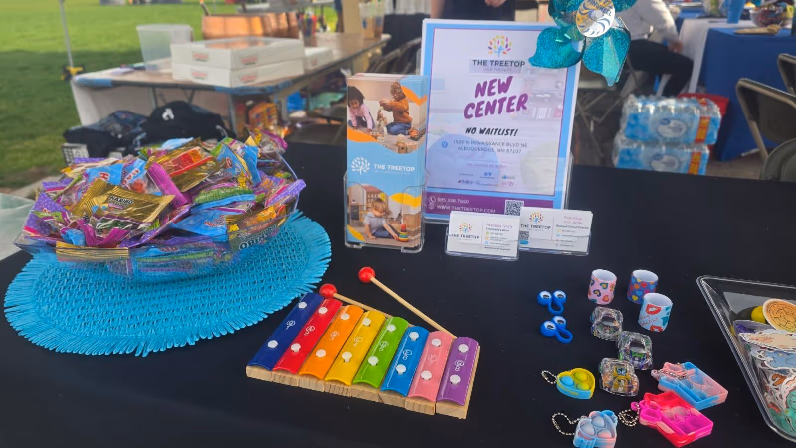 Outdoor table with candy, a colorful xylophone, and promotional materials for The Treetop ABA Therapy.