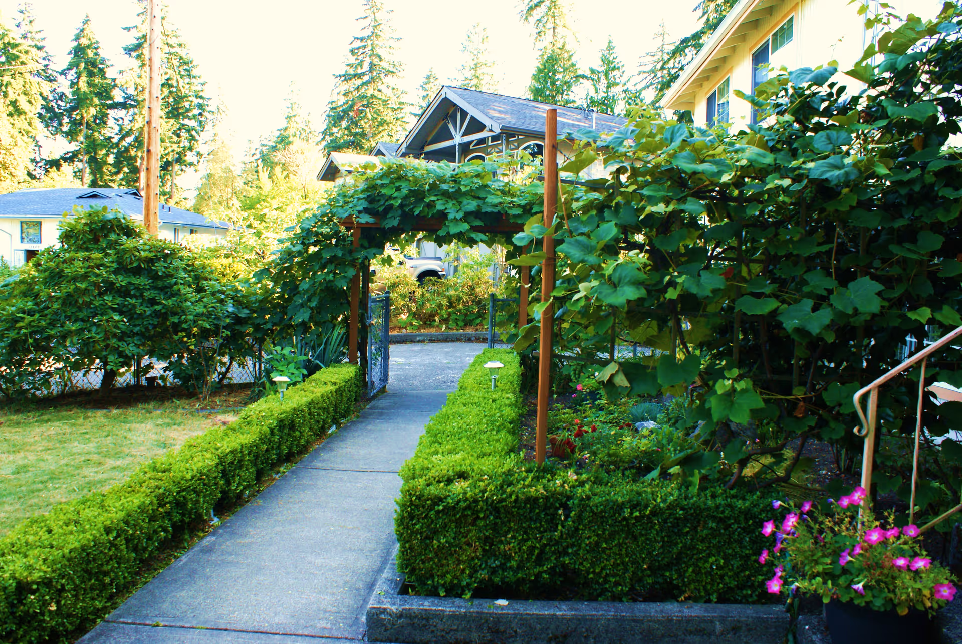 Stone pathway winds through lush hedges and climbing vines toward a building entrance.