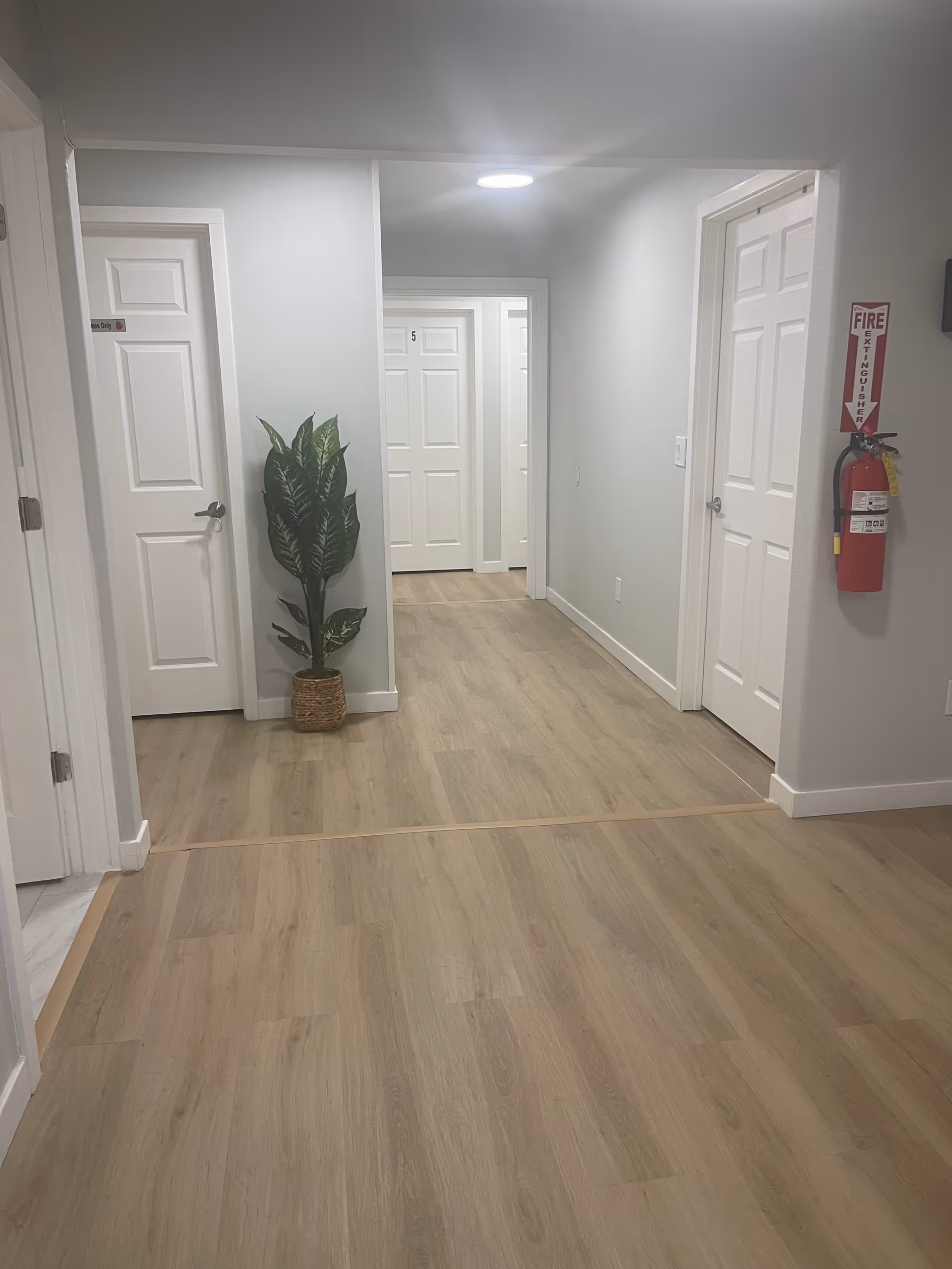 Bright hallway with white doors, a potted plant, and a fire extinguisher.