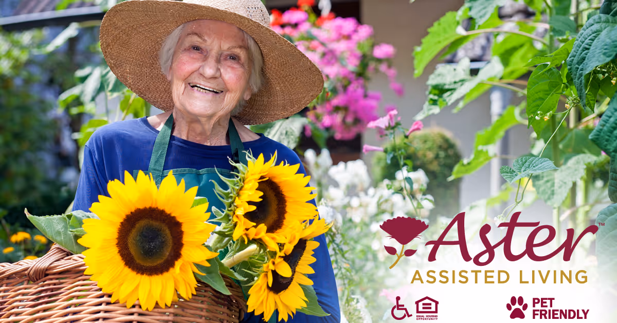 An elderly woman wearing a wide-brimmed straw hat and a blue shirt with a green apron is smiling while holding a basket filled with large sunflowers in a garden setting with various green plants and pink flowers in the background.