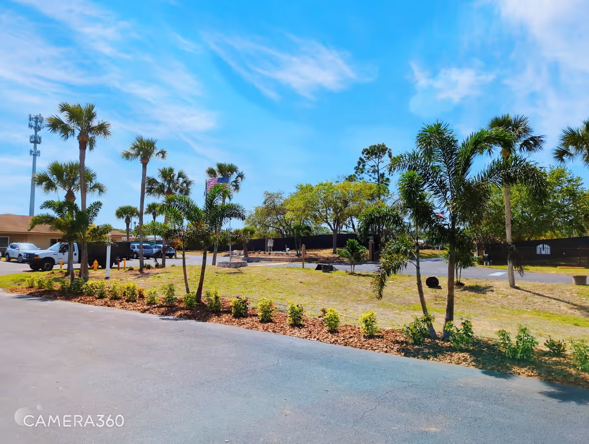 Exterior view of outdoor grounds with palm trees, shrubbery, and parked cars.