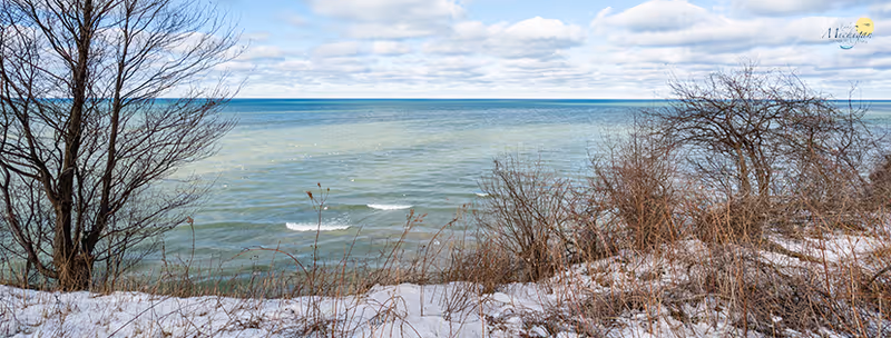 A panoramic view of a lake with gentle waves under a partly cloudy sky. In the foreground, there is a snowy shoreline with dry bushes and leafless trees.