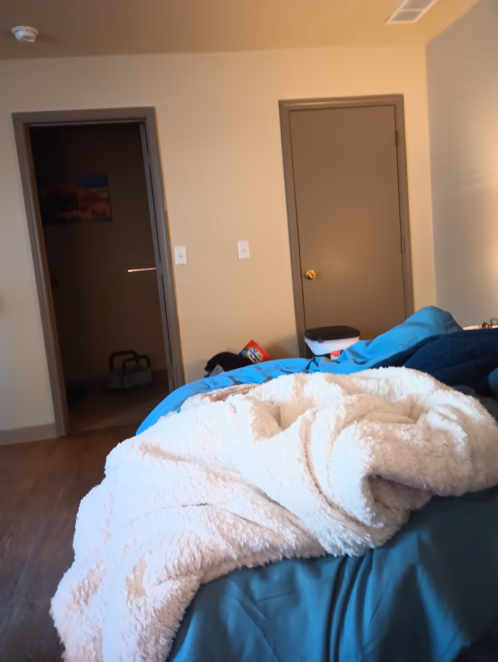 A bedroom with a bed, blue bedding, and two closed doors along a beige wall.