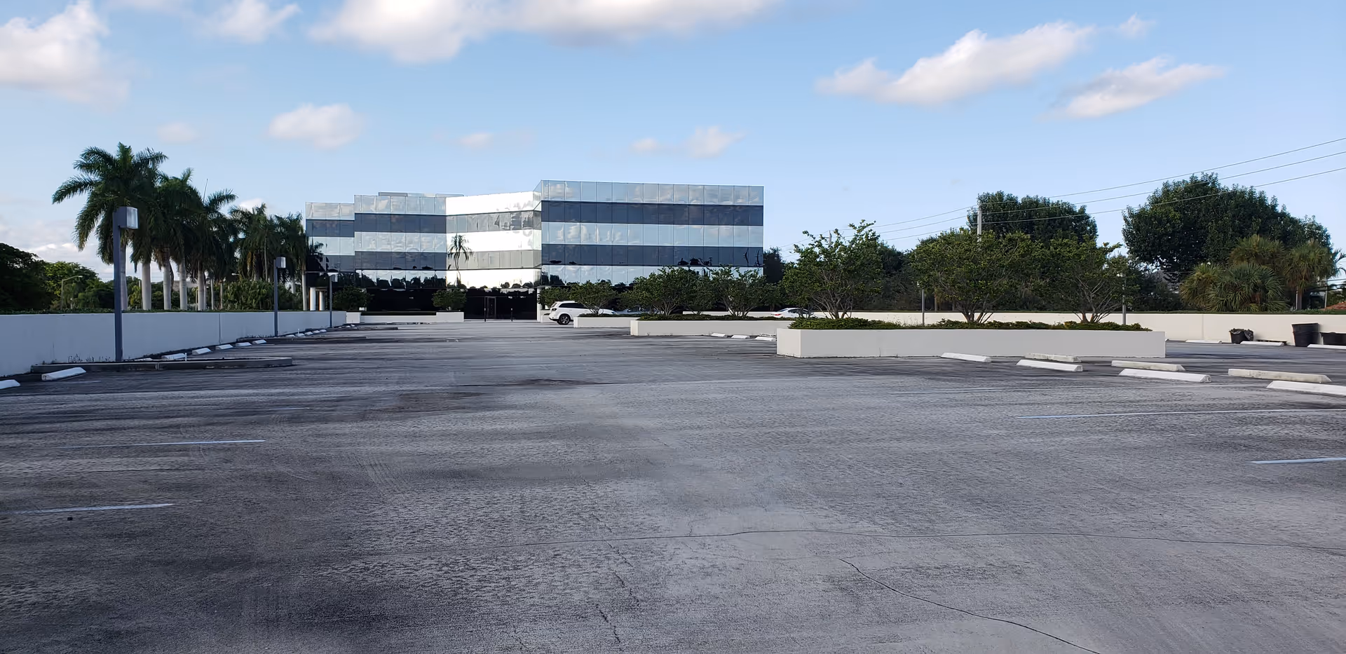 An empty parking lot leads to a modern glass-front building with palm trees.