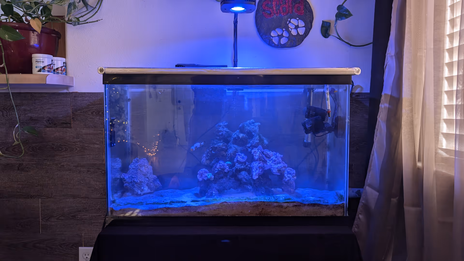 Blue-lit aquarium on a stand beside a wood-paneled wall in a cozy room.