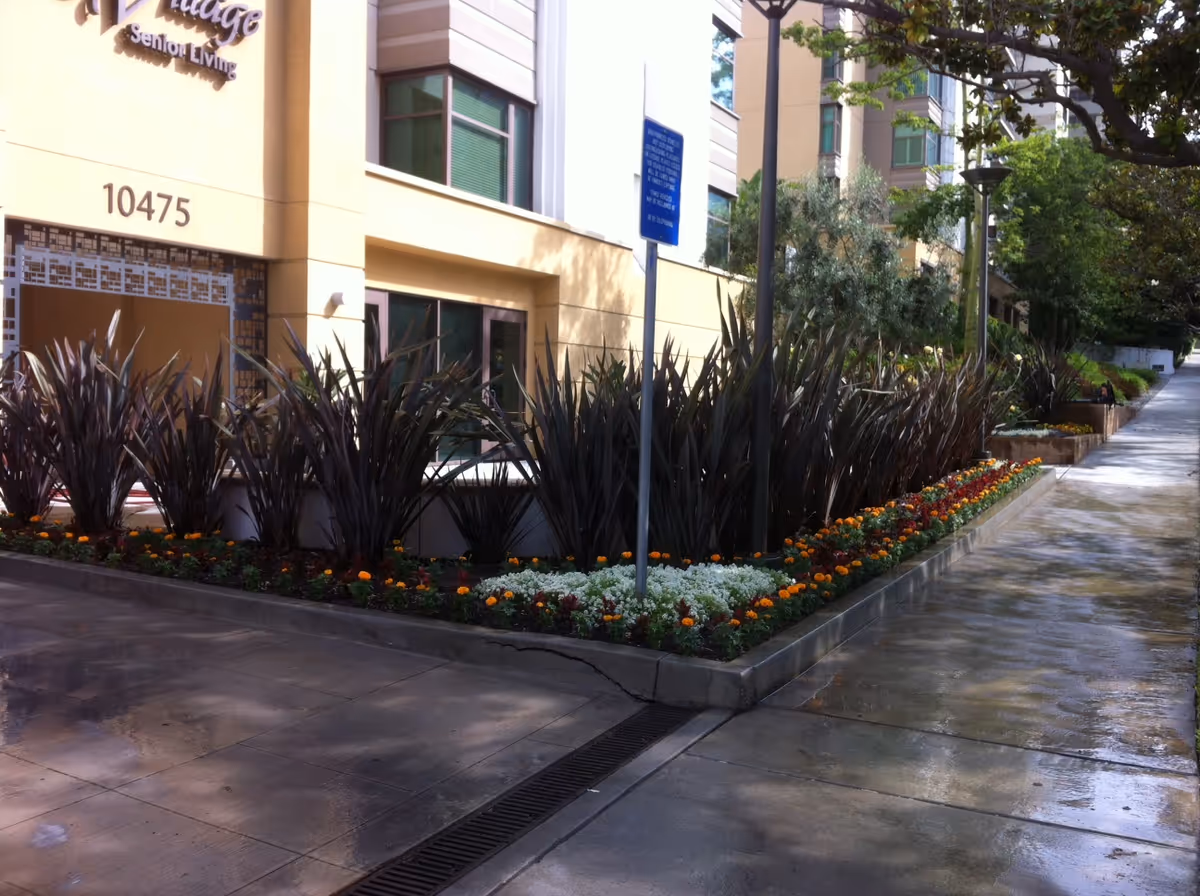 Front exterior of Belmont Village Senior Living Westwood with landscaped flower beds along walkway.