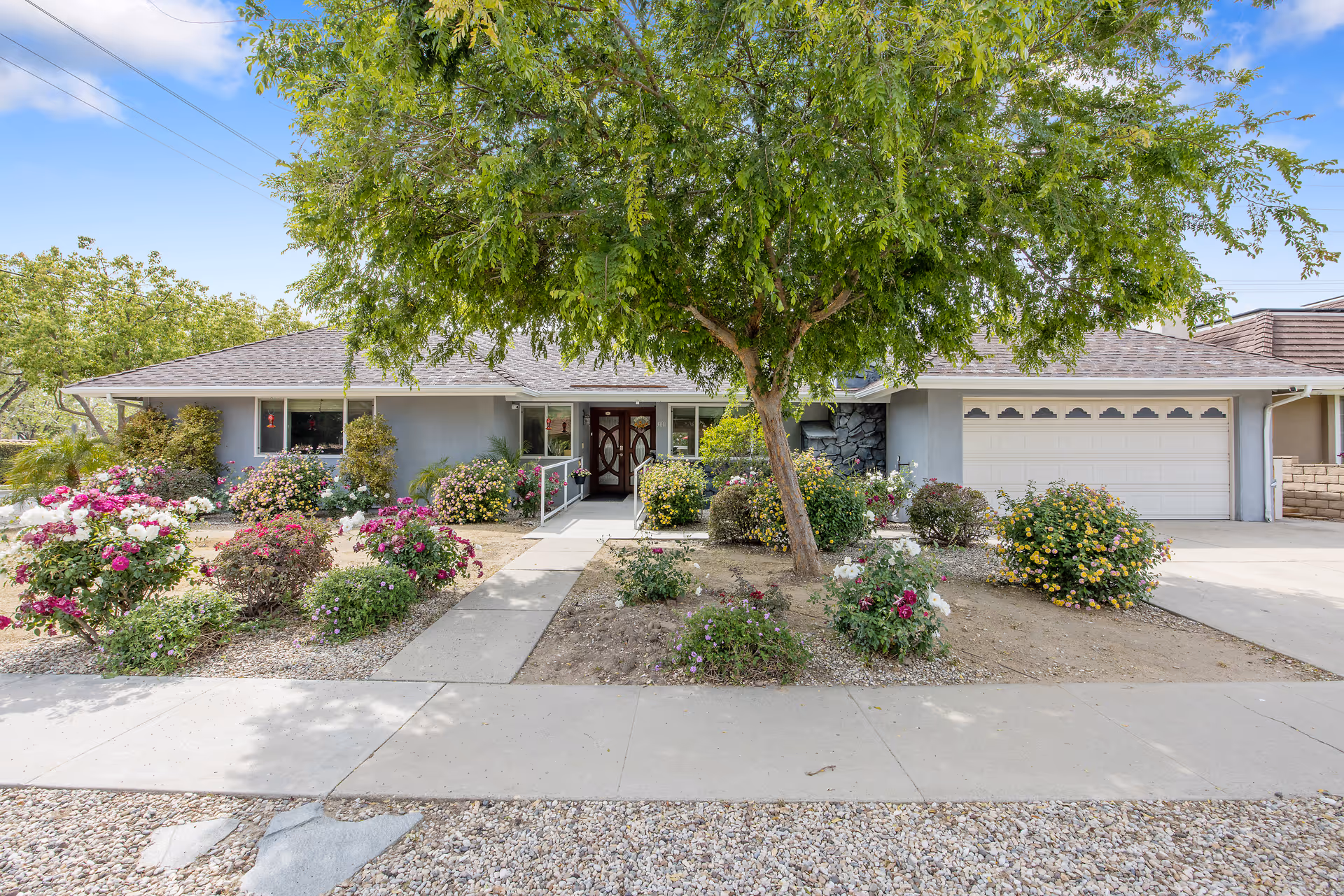 Front view of a single-story residence with a large tree and flowering shrubs.