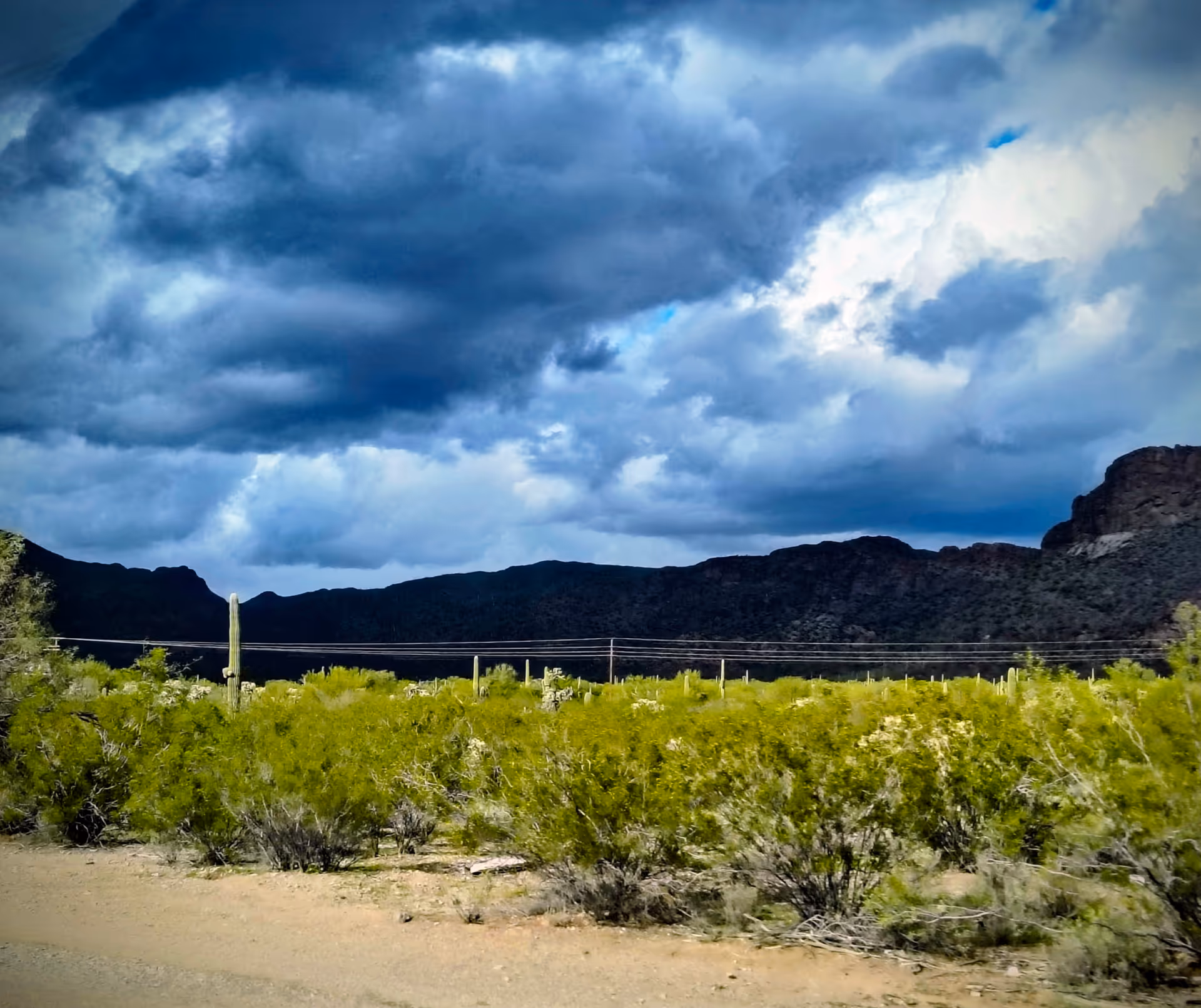 Desert landscape with shrubs, a fence, and dramatic blue-gray clouds over distant mountains.