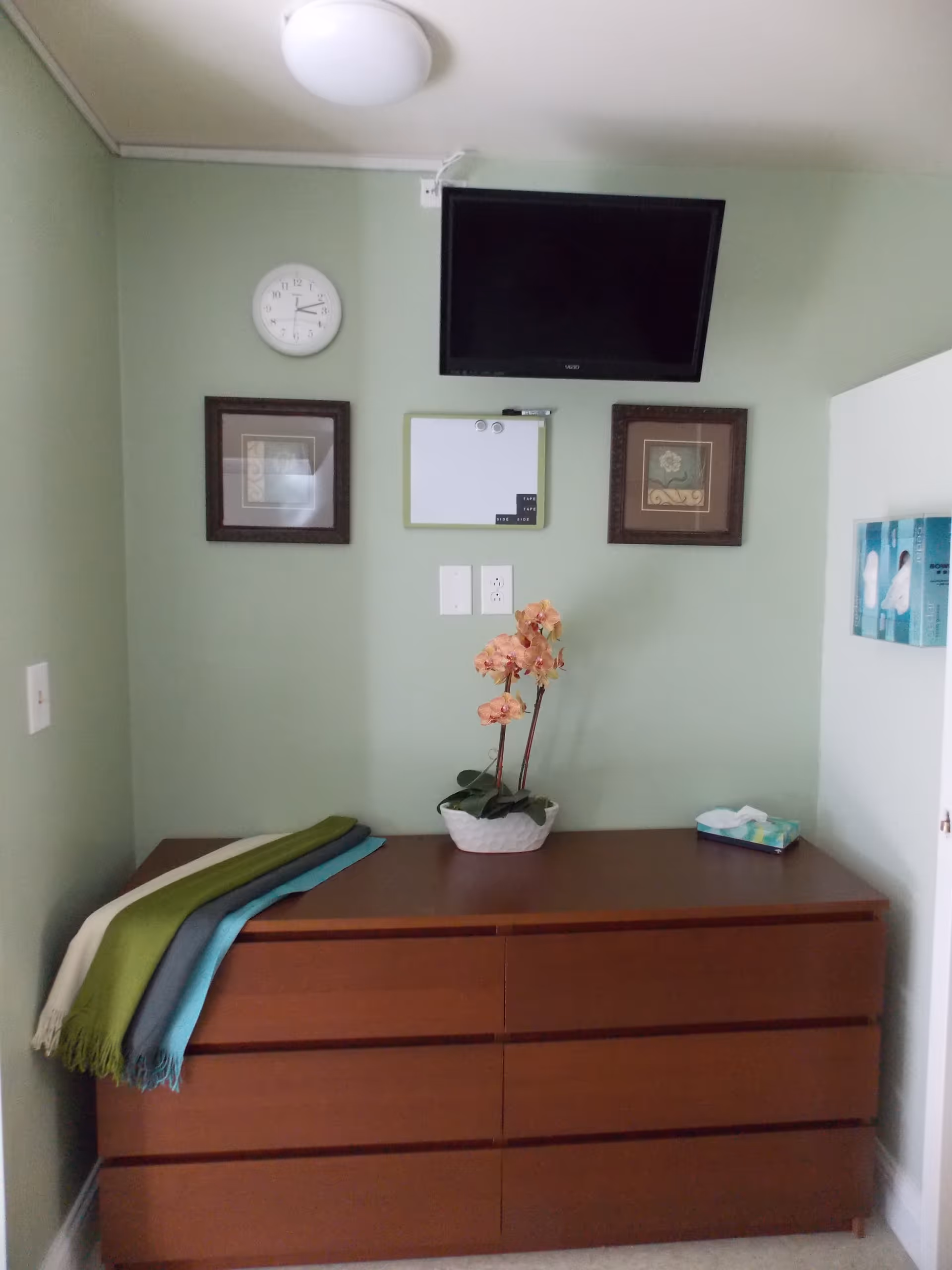 Interior room with a wooden dresser, green wall, mounted TV, clock, and orchid plant.