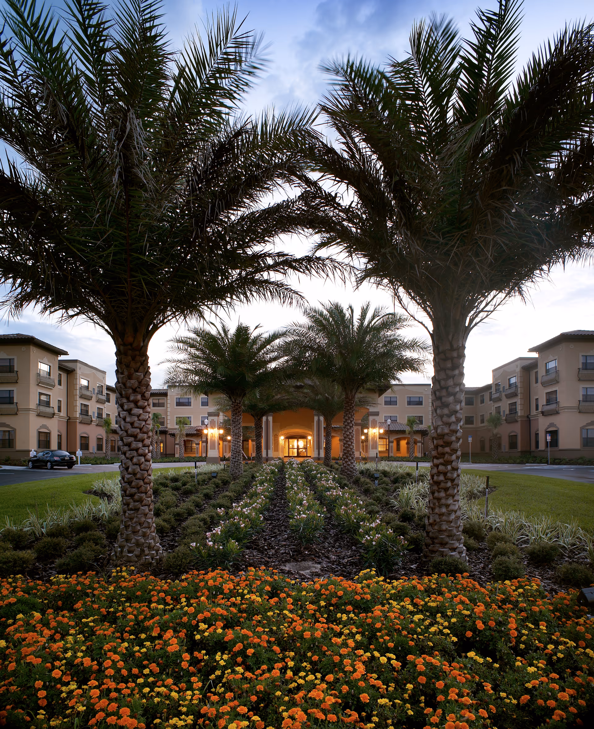 Exterior courtyard of a senior living campus with palm trees and a lit entrance.