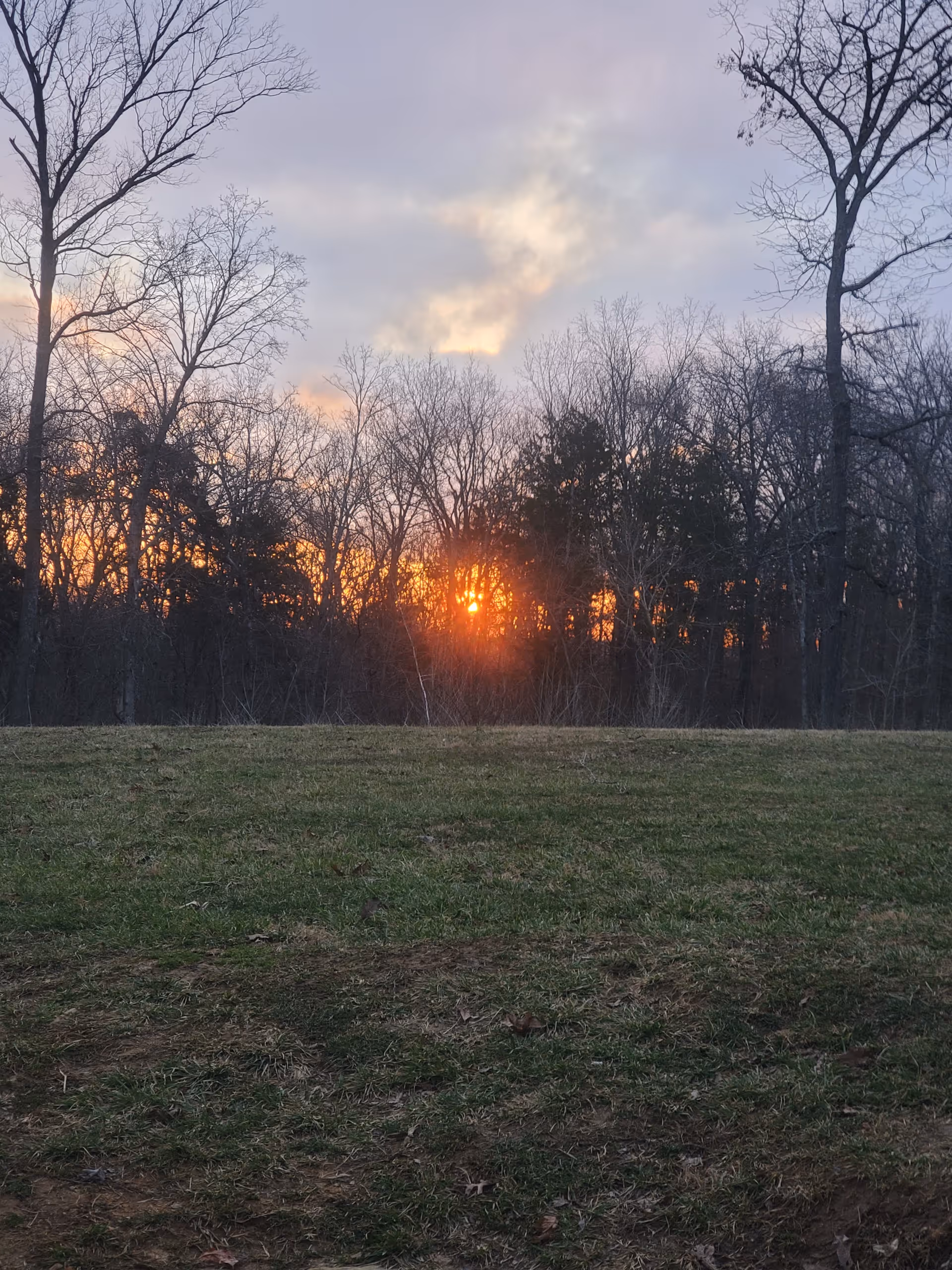 Sunset behind leafless trees over a grassy outdoor field.