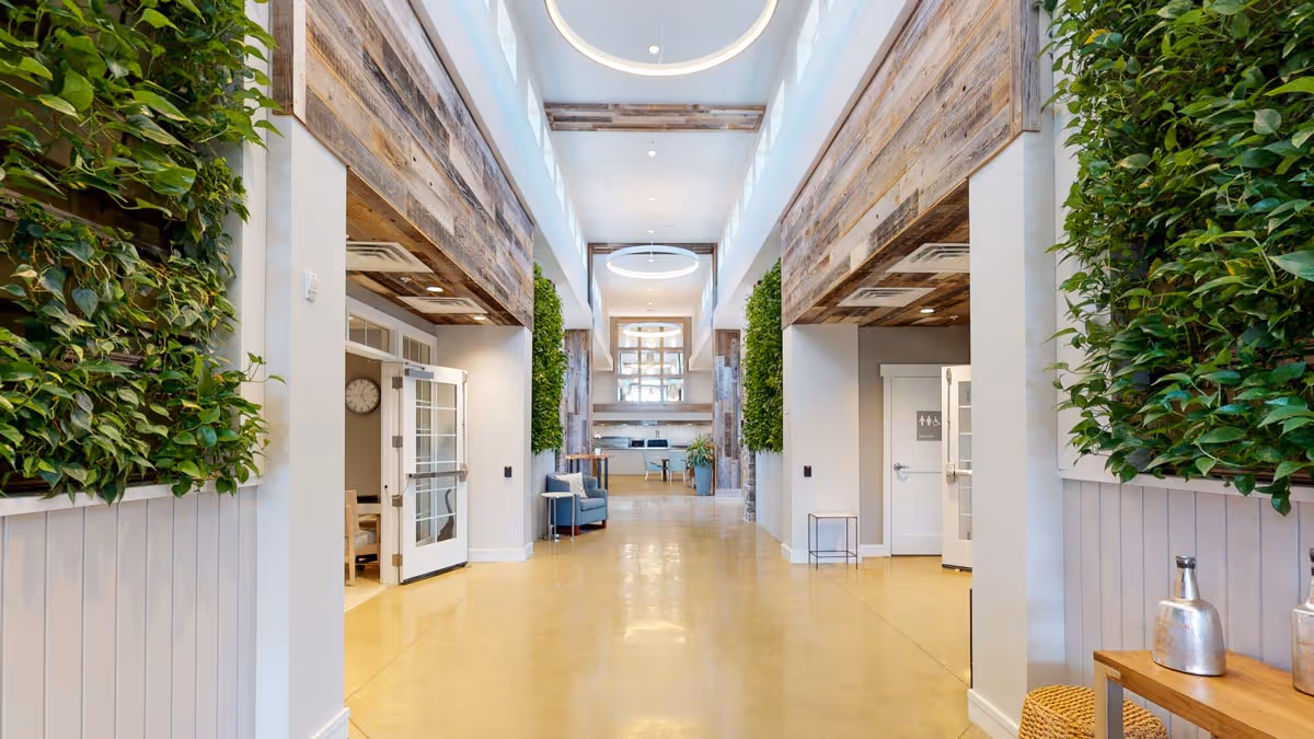 Bright airy lobby hallway with vertical green plant walls, reclaimed wood accents, seating and circular ceiling lights.
