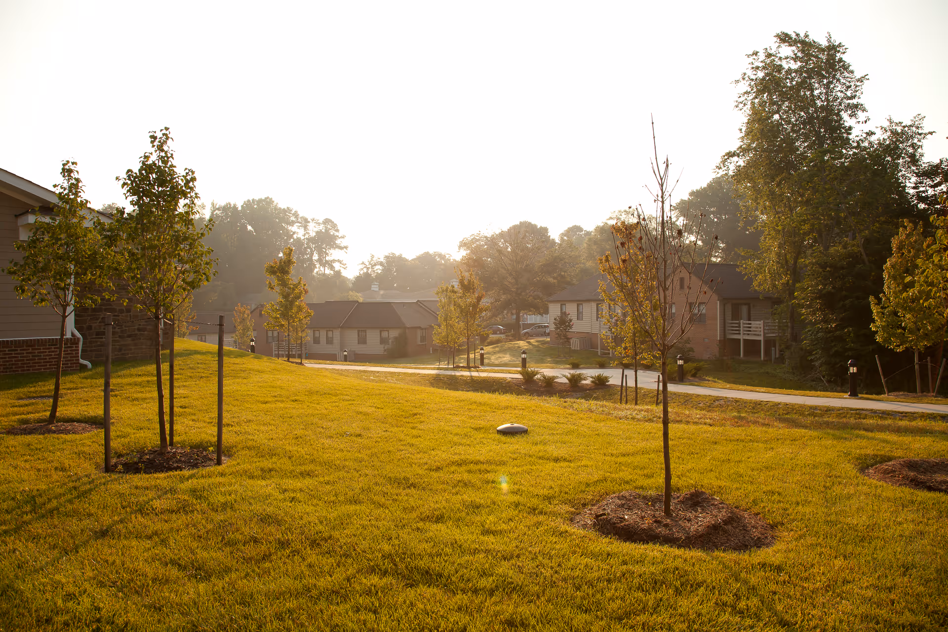 Sunlit senior living campus with green lawns, young trees, and low-rise residential buildings.