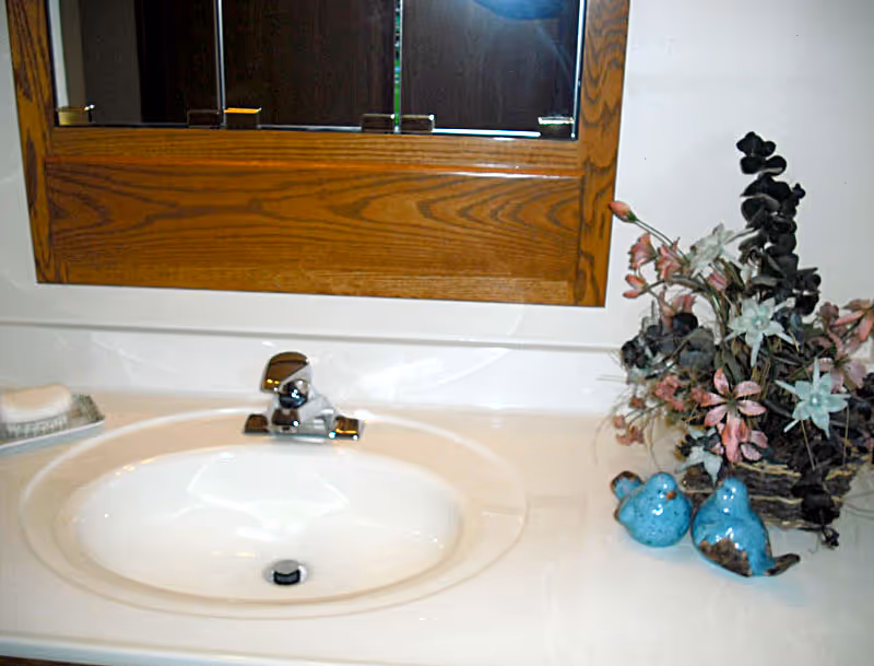 Bathroom sink with wooden-framed mirror, decorative flowers, and blue ceramic birds.