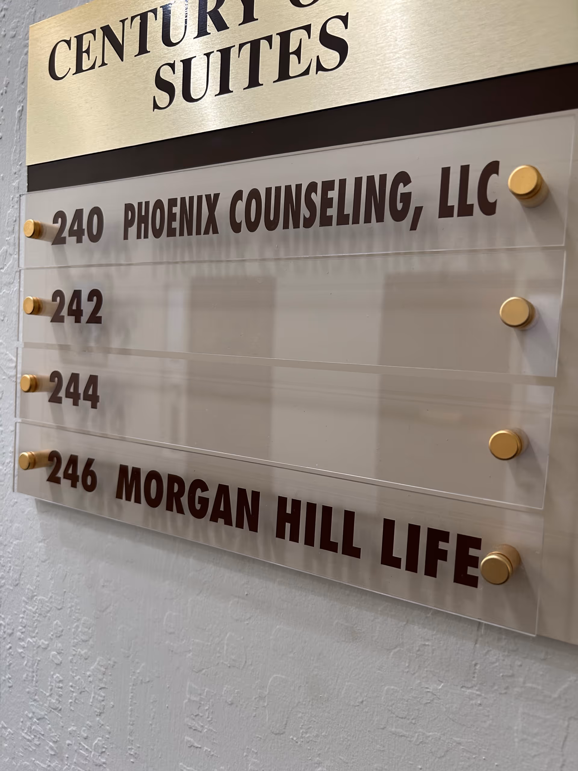 Interior wall with acrylic plaques displaying suite numbers and tenant names, including Phoenix Counseling.