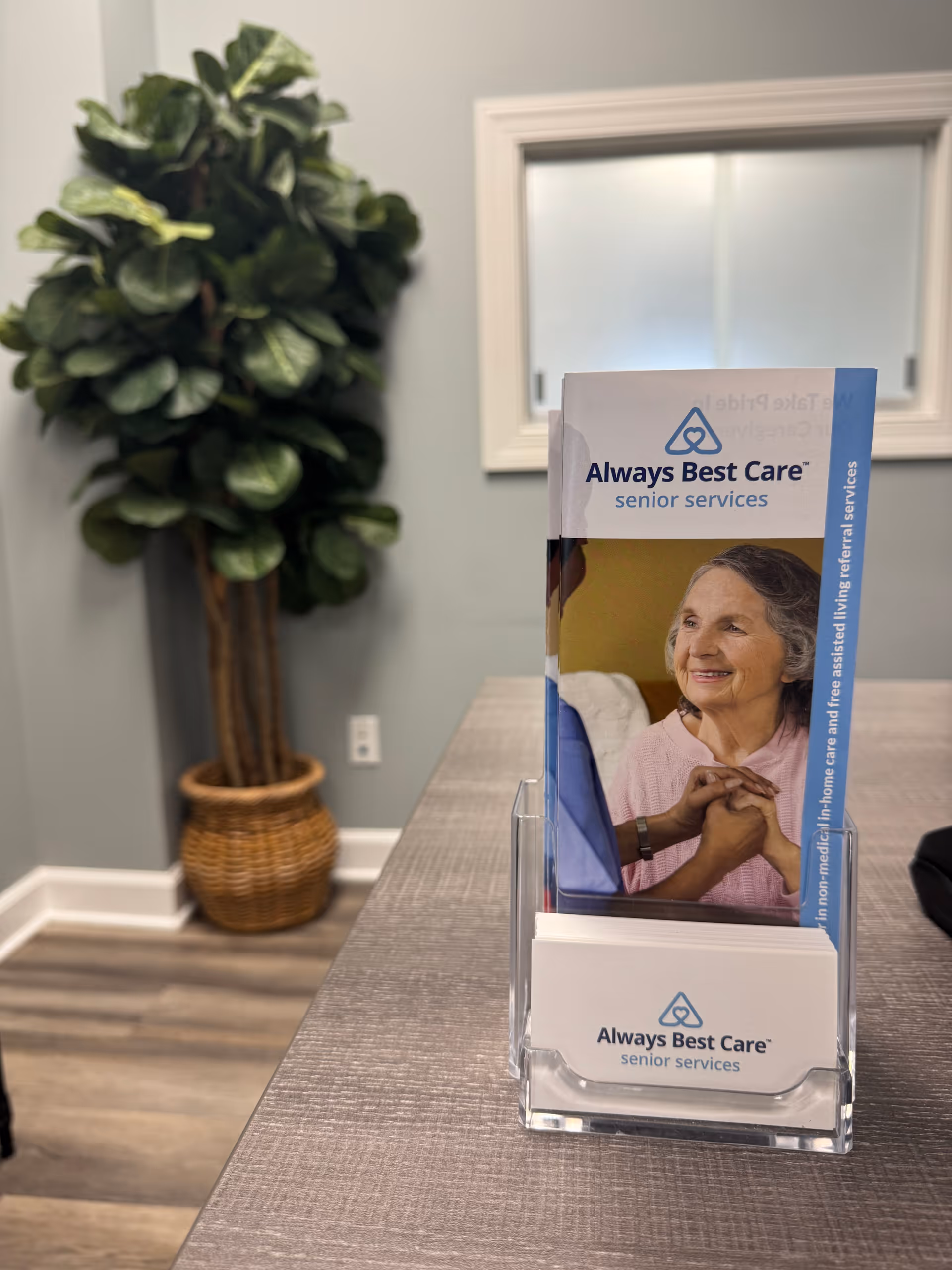Brochure stand on a table inside an interior facility with a large plant.