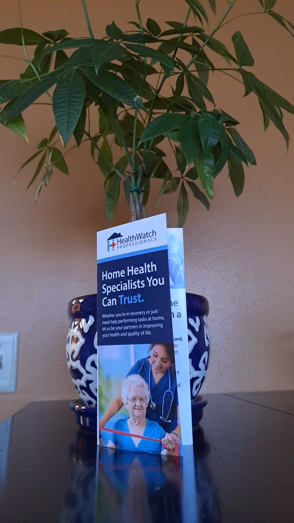 A brochure from HealthWatch Professionals sits on a table beside a leafy potted plant inside.